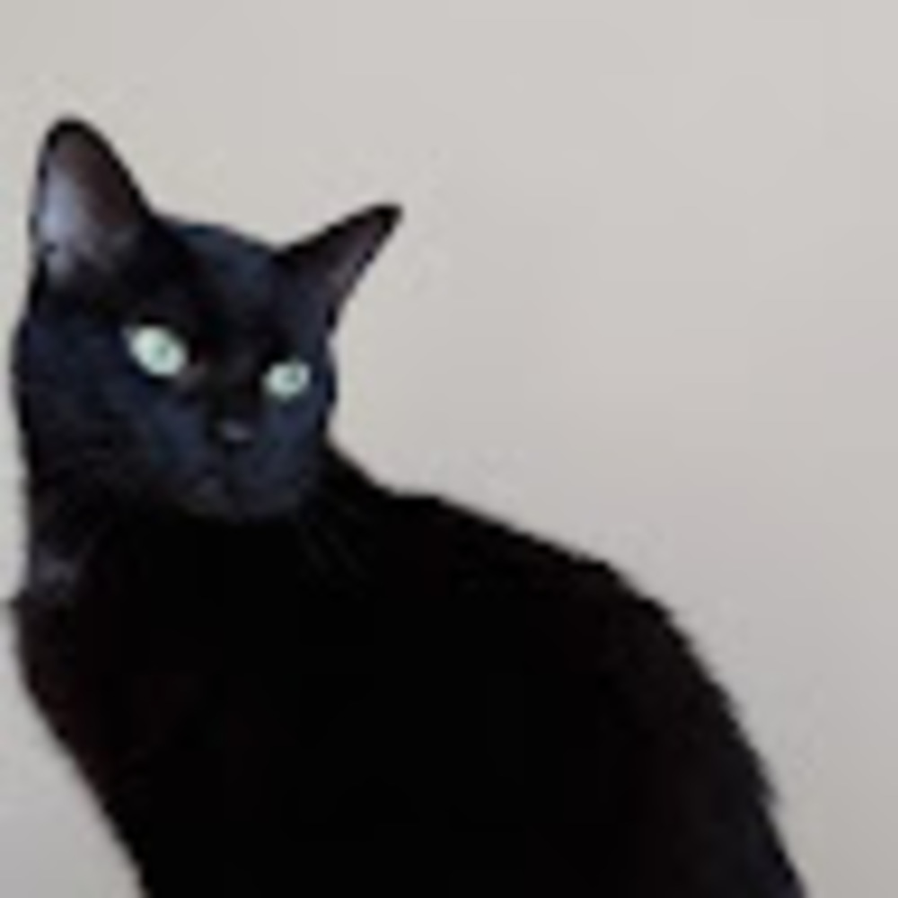 Meet your Posher, Xio